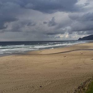 Meet your Posher, Peggy